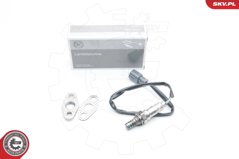 Oxygen Sensor